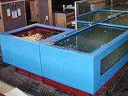 ���Ō^�����̉摜�ł��B