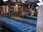 ��^�����̉摜�ł��B