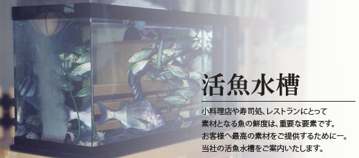 ���������̉摜�ł��B